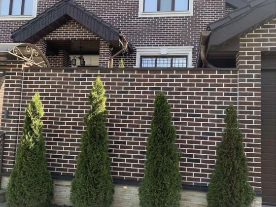 Сдам дом Славутич Осокорки Садова Вишенки