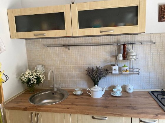 Здається будинок в оренду в селі Гнідин, Бориспільський район Гнедин