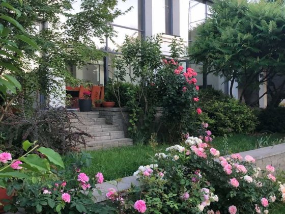 Оренда будинку с.Лісники, Без% Лесники