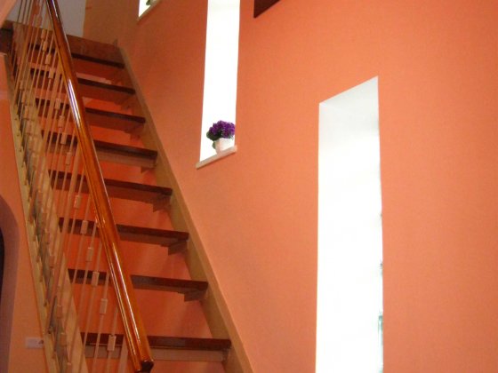 Підселення для однієї дівчини студентки Івано-Франківськ