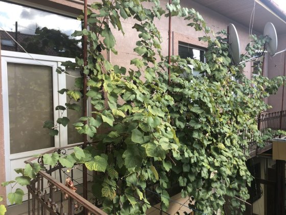 Корятовича, 2 кімнати. Центр.