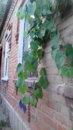 Сдам комнату .не агенство - фото 1