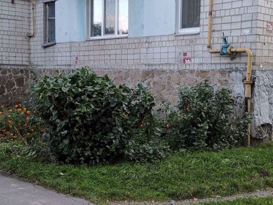 Сдам комнату в 2-х комнатной квартире Вінниця