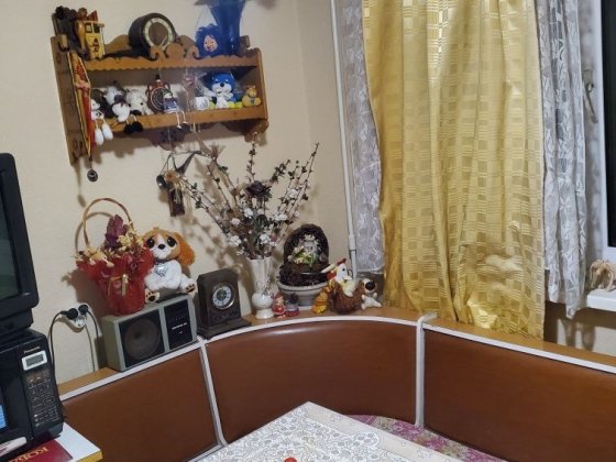 Сдам комнату святошенский район Київ