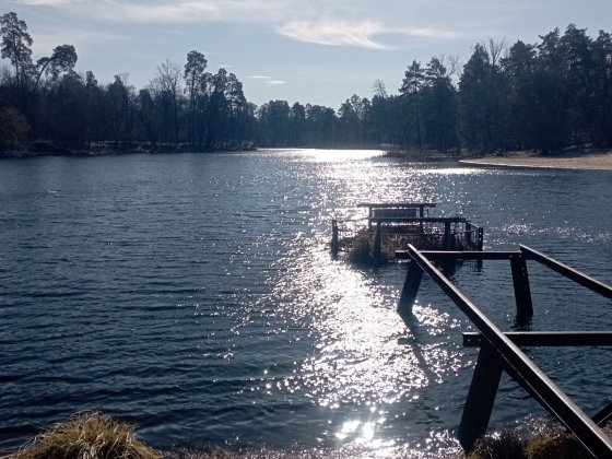 Здам кімнату  в Пуща-Водиця ВЛАСНИК. Горенка