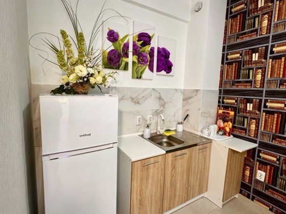 Аренда квартиры долгосрочно ФОНТАНКА Одесса Чабанка 8км Фонтанка