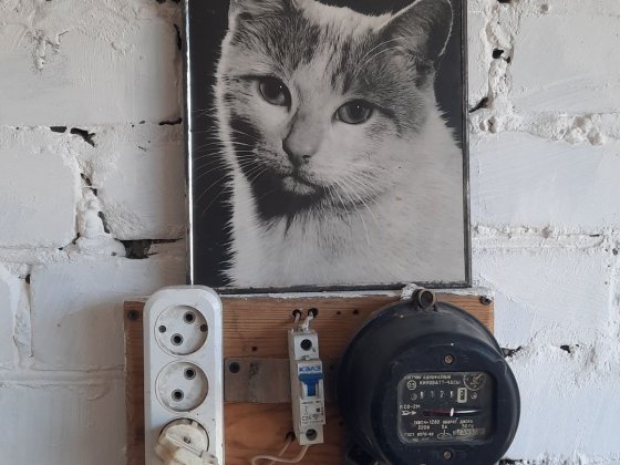 Здаю гараж сдаю гараж Николаев