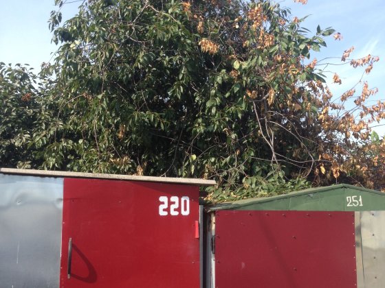 Продам або здам в оренду металевий гараж (метро Лісова) Київ