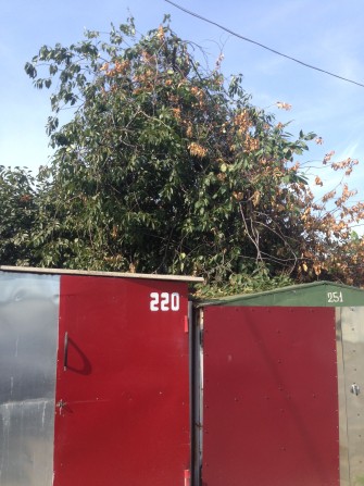 Продам або здам в оренду металевий гараж (метро Лісова) - фото 1