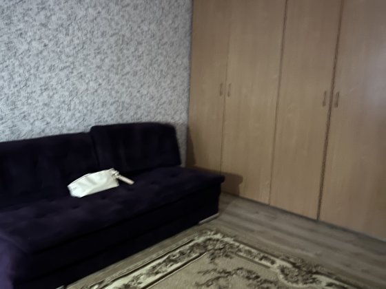 Здам 1-ну квартиру на Доброхотова! Київ