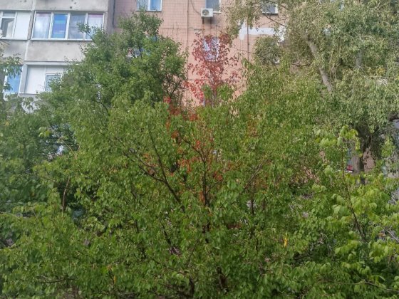 Продам 3-х комнатную квартиру квартал Южный Луганськ