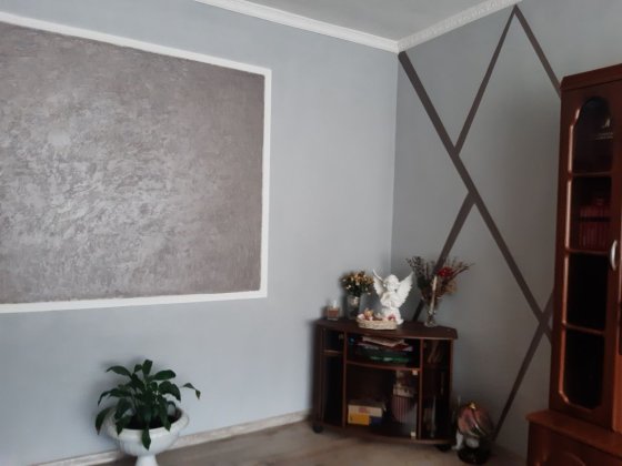 Простора 3 кімната квартира з гаражем та присадибною ділянкою Берегове