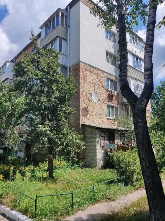 Продам 3-комнатную квартиру в Вышгороде. Владелец. - фото 1