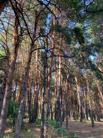 Продам 2-кім квартиру з пандусом — зручність, безпека та тиша ЛБ 5мкр - фото 1