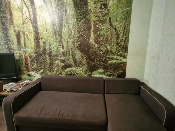 Однокомнатная в центре Чорноморськ