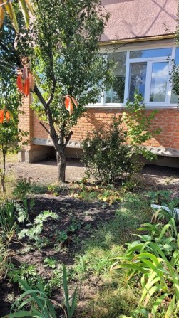 Терміново продам 2х кімнатну квартиру - фото 1