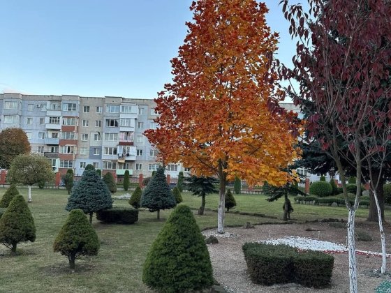 Терміново продам гарну однокімнатну! Шептицкий