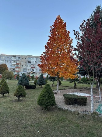 Терміново продам гарну однокімнатну! - фото 1