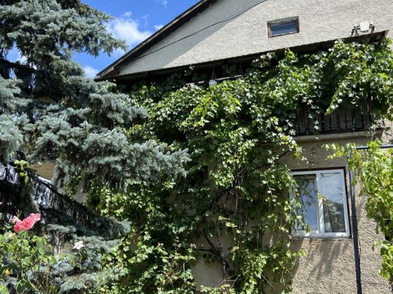 Трикімнатний напівособняк Минай