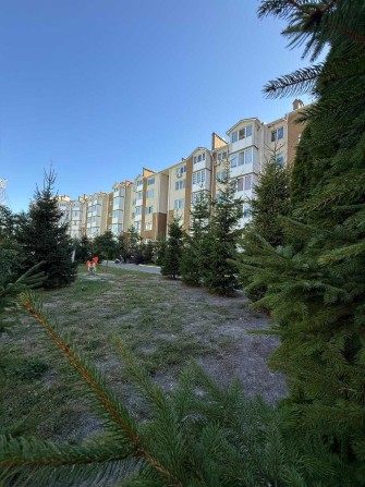 Топ ціна! 1к з документами! Зданий будинок! Газ опалення! Мін оформл! - фото 1