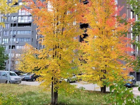 2-кім. квартири в сучасному ЖК Paradise Avenue — комфорт+ у деталях Крюковщина