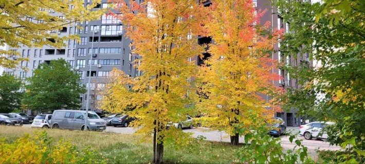 2-кім. квартири в сучасному ЖК Paradise Avenue — комфорт+ у деталях - фото 1