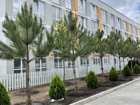 Продаж 1к квартири в зданому будинку Святопетрівське Святопетровское