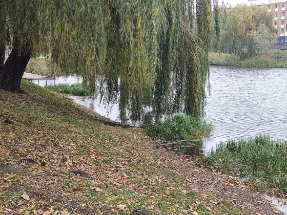 Продаж квартири Бородянка. Центр. Бородянка