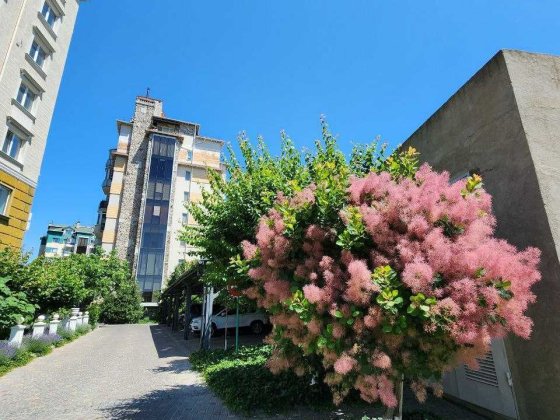 Просторная 3-комн квартира в доме Премиум 4 Моцарт ЖК Зеленый мыс Крыжановка