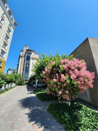 Просторная 3-комн квартира в доме Премиум 4 Моцарт ЖК Зеленый мыс - фото 1