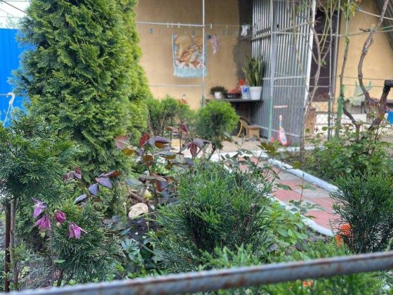 В продаже 2-комнаты. Совиньон. Бурлачья Балка