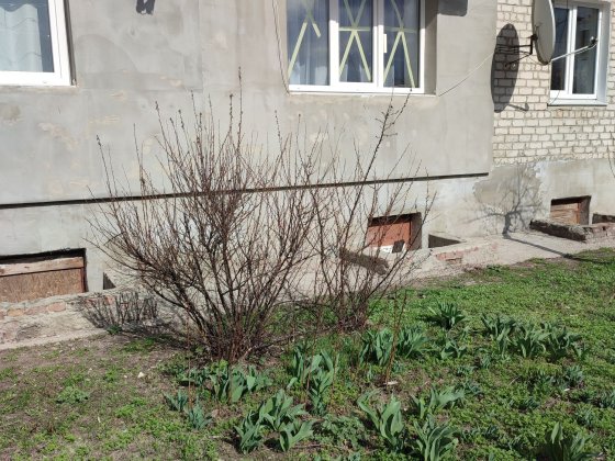 Продам 1 кімнатну квартиру в Балаклії Харківської області 1 й поверх н Балаклея