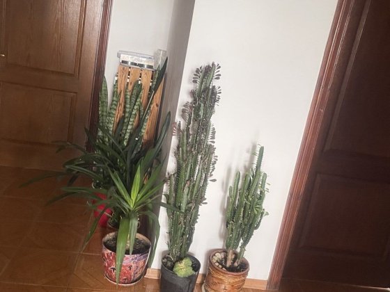 Продам квартиру в центре горада Бахмач