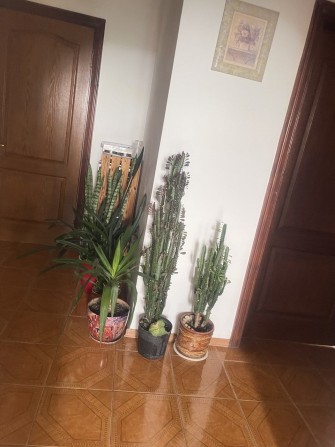 Продам квартиру в центре горада - фото 1