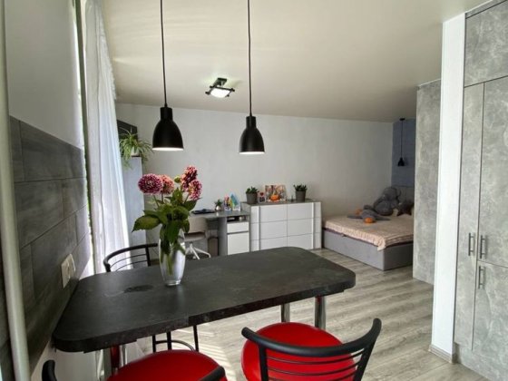 Квартира з ремонтом та меблями Вишневе