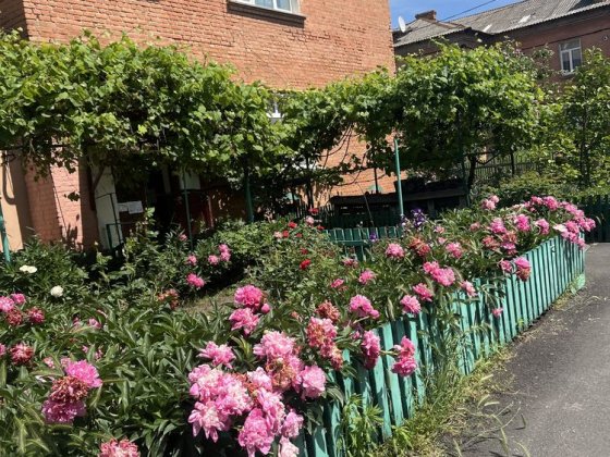 2х кім. кв. в центрі  міста з Автономним опаленням Белая Церковь