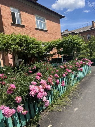 2х кім. кв. в центрі  міста з Автономним опаленням - фото 1