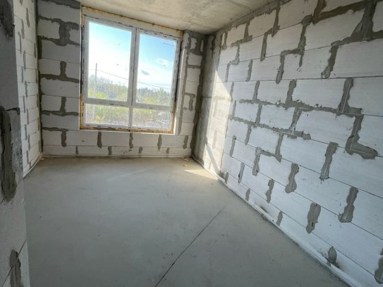 Однокімнатна квартира з газом. Буча