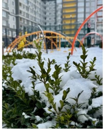 Однокімнатна на низькому поверсі мінімальне оформлення - фото 1