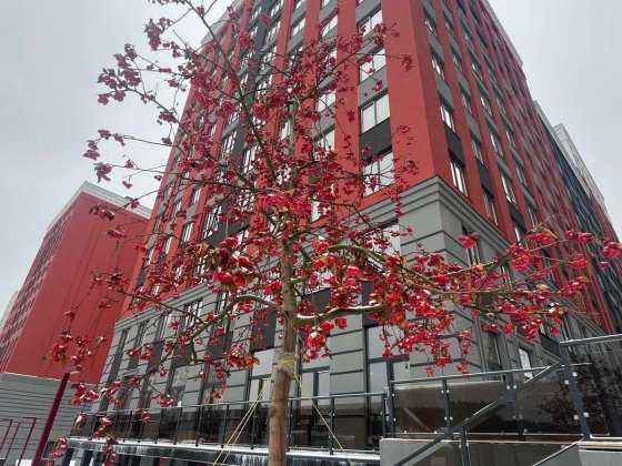 Видова 2кк квартира в ЖК Бізнес класу Ирпень