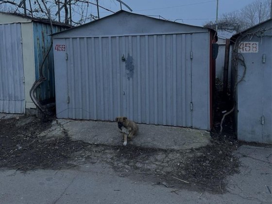 Сдам гараж Одесса поселок Котовского Шевченко Заболотного Искра 2 Одесса