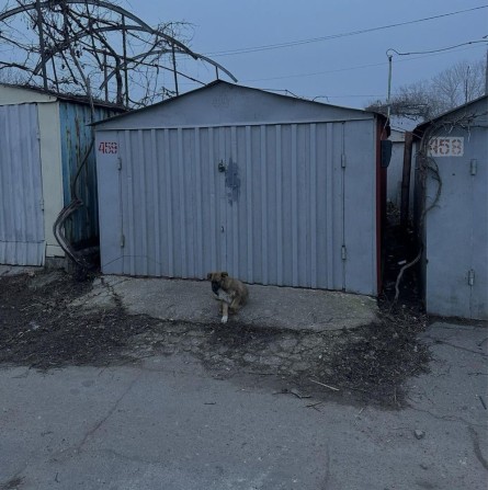 Сдам гараж Одесса поселок Котовского Шевченко Заболотного Искра 2 - фото 1
