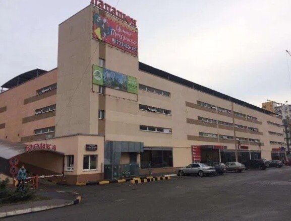 Паркинг на Сахарова 22,Папашон от хозяина - фото 1