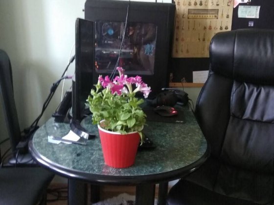 3-х кімнатна квартира в Херсоні, район консервний Херсон