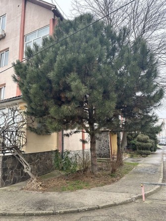 Продаж 5-ти кімнатноі квартири м.Ужгород вул.Перемоги - фото 1