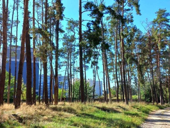 Продам велику квартиру з мальовничим видом - пентхаус на 2 поверхи Чернигов