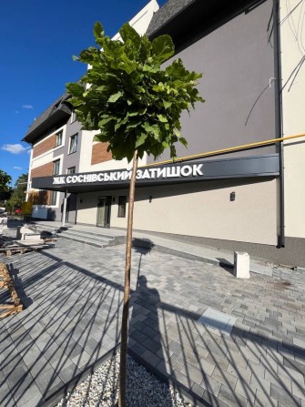 Однокімнатна квартира в затишному районі - фото 1