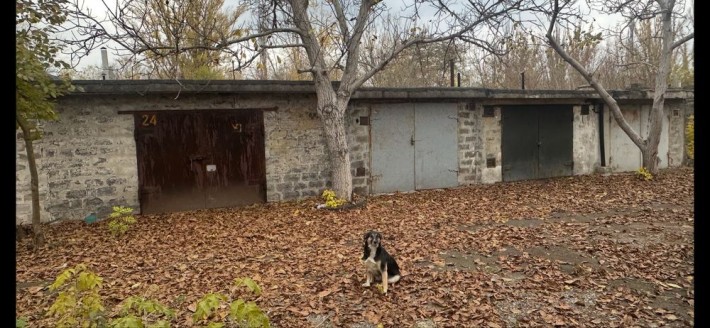 Продам гаражі масив Гігант - фото 1