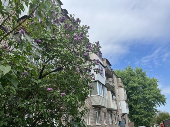 ‼️Однокімнатна квартира за 9200$ вул. О. Поради Запорожье