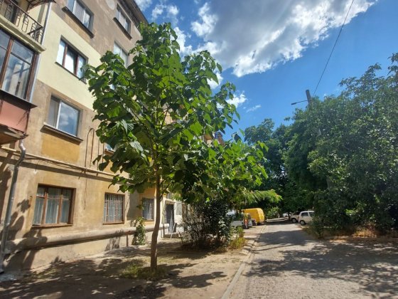 Центр Двокімнатна квартира Миколаїв